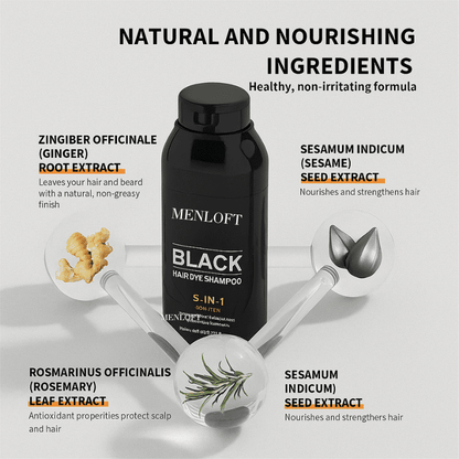 Sevich 5-in-1 Men's Premium Black Hair & Beard Dye Shampoo - Menloft
