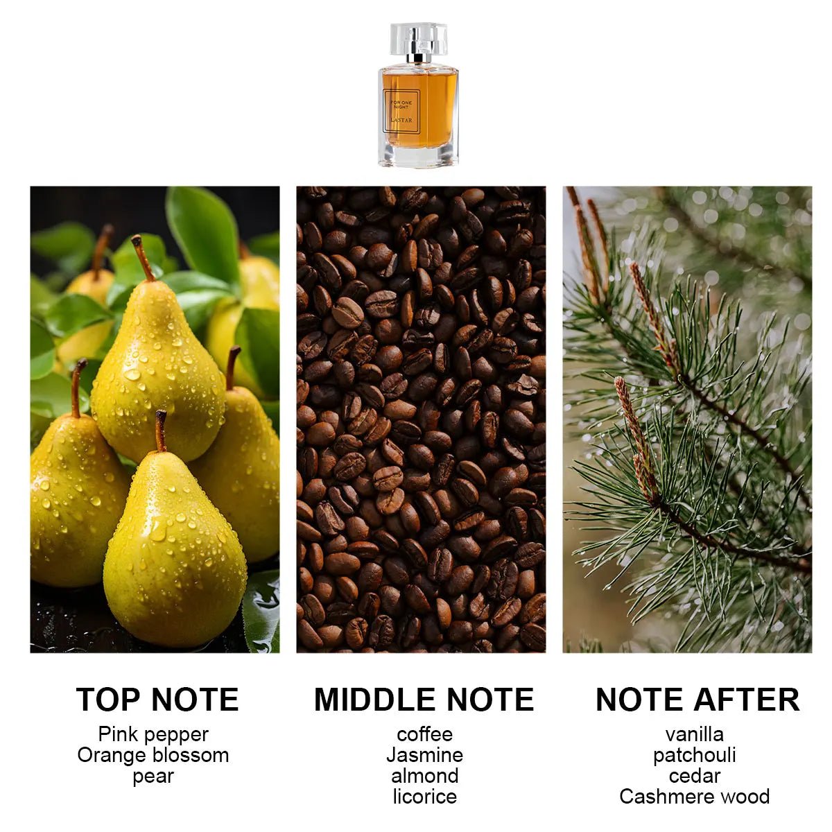LASTAR Woody Perfume - Elevate Your Elegance - MENLOFT LLC