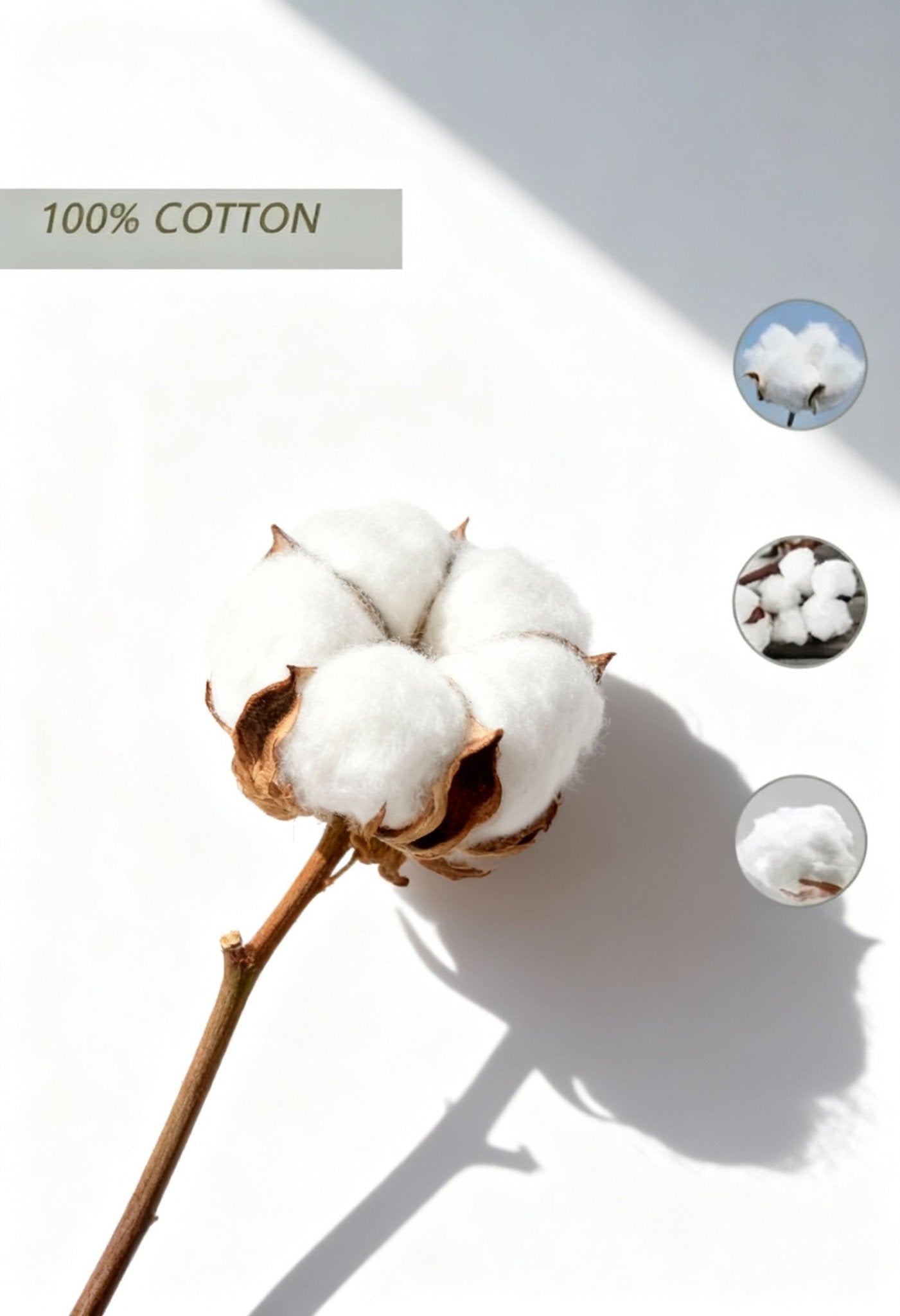 Men's Premium Cotton Breathable T-Shirt - Menloft